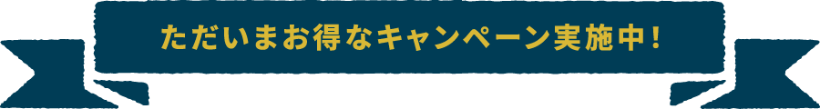 ただいまお得なキャンペーン実施中！