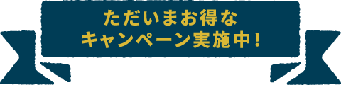 ただいまお得なキャンペーン実施中！