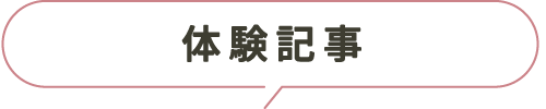 体験記事
